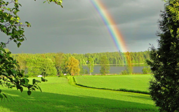 sateenkaari peltojen yllä