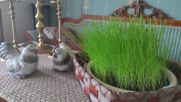 Pääsiäinen vuonna 2025 on 20.4.